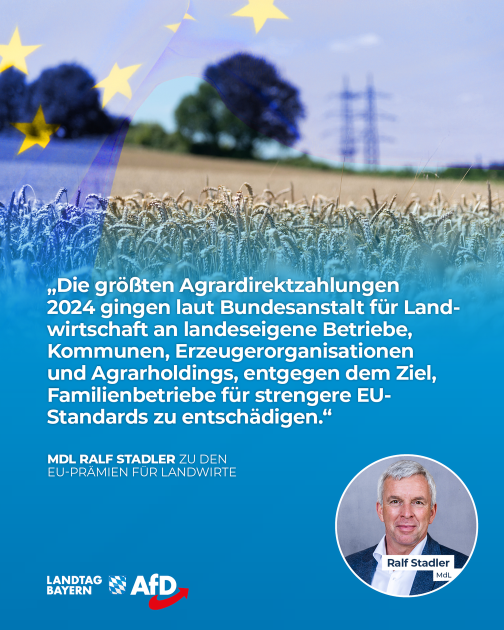 Bild: AfD Deutschland