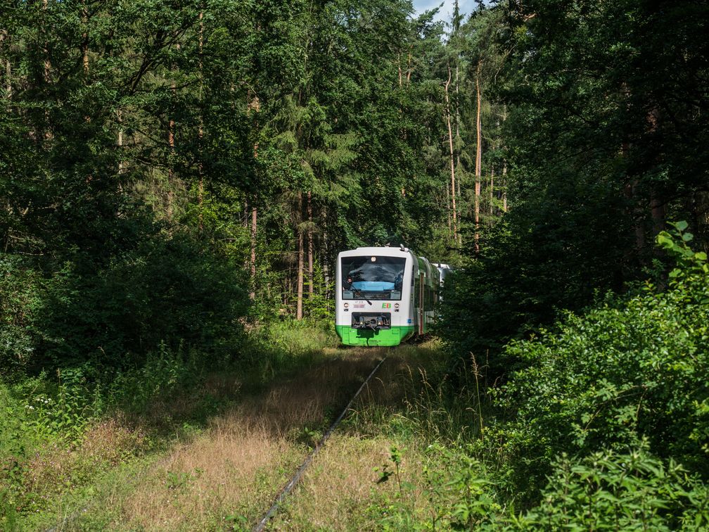 Die Steigerwaldbahn