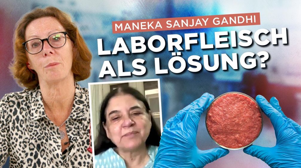 Bild: AUF1 / Eigenes Werk