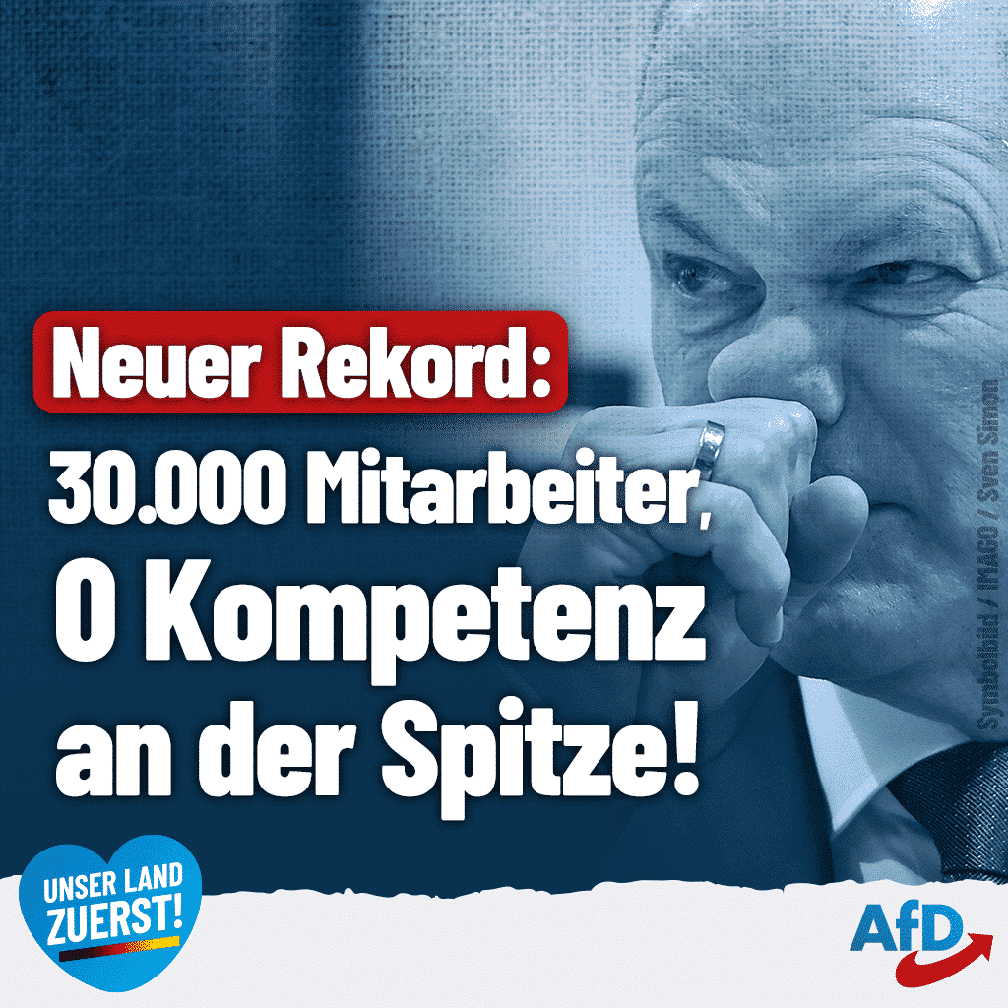 Bild: AfD Deutschland