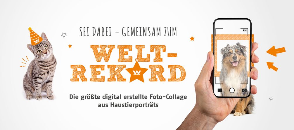 Haustierliebe-sprengt-alle-Rekorde-Vet-Concept-ruft-zum-gro-en-Haustier-Fotoprojekt-auf