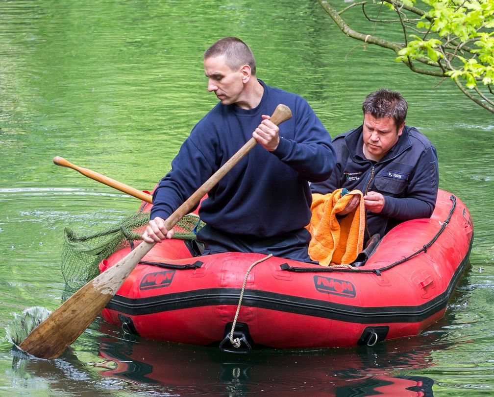 Mülheim an der Ruhr - Rettung eines Eisvogels durch die Feuerwehr Mülheim - Bild: Reiner Worm