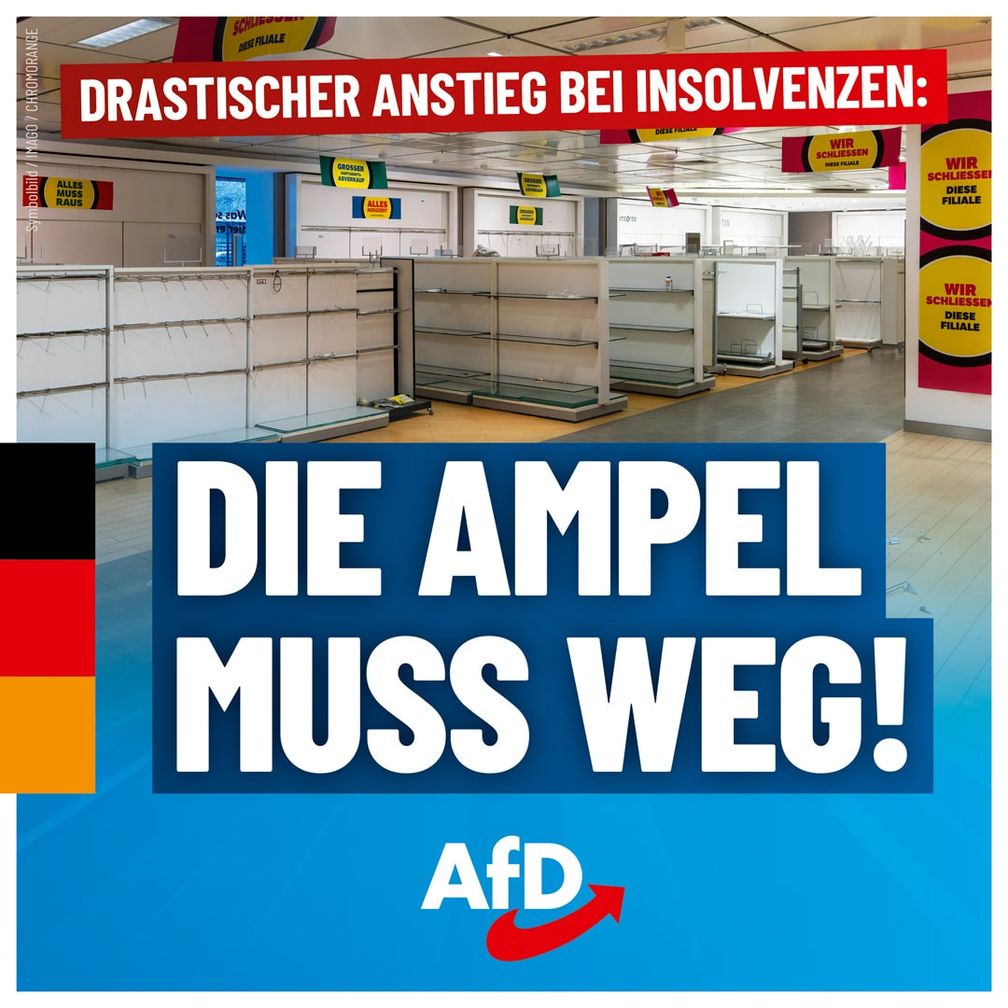 Bild: AfD Deutschland