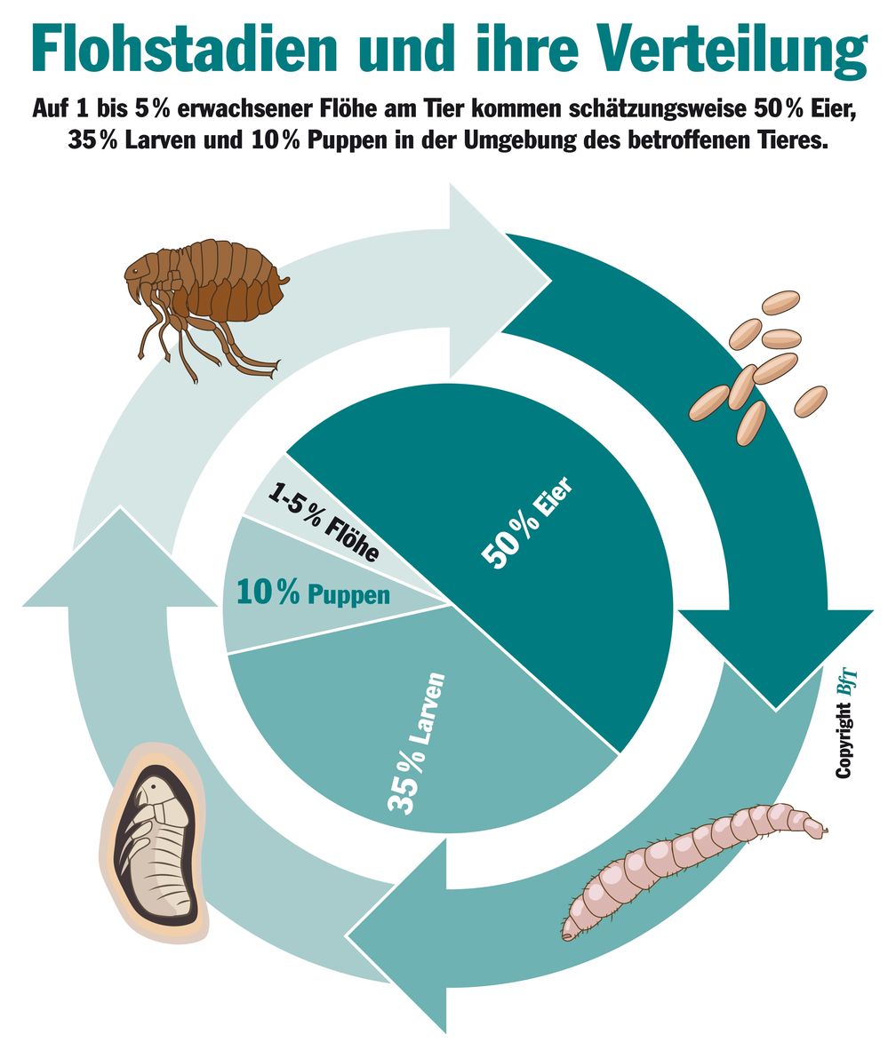 Bild: "obs/Bundesverband für Tiergesundheit e.V./BfT"