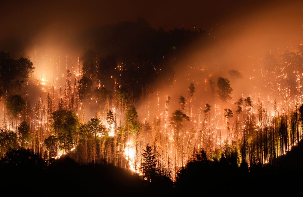 Waldbrand am 26.07.2022 im tschechischen Nationalpark Böhmische Schweiz in Hrensko nahe der Grenze zu Sachsen. Bild: picture alliance/ dpa Fotograf: Robert Michael
