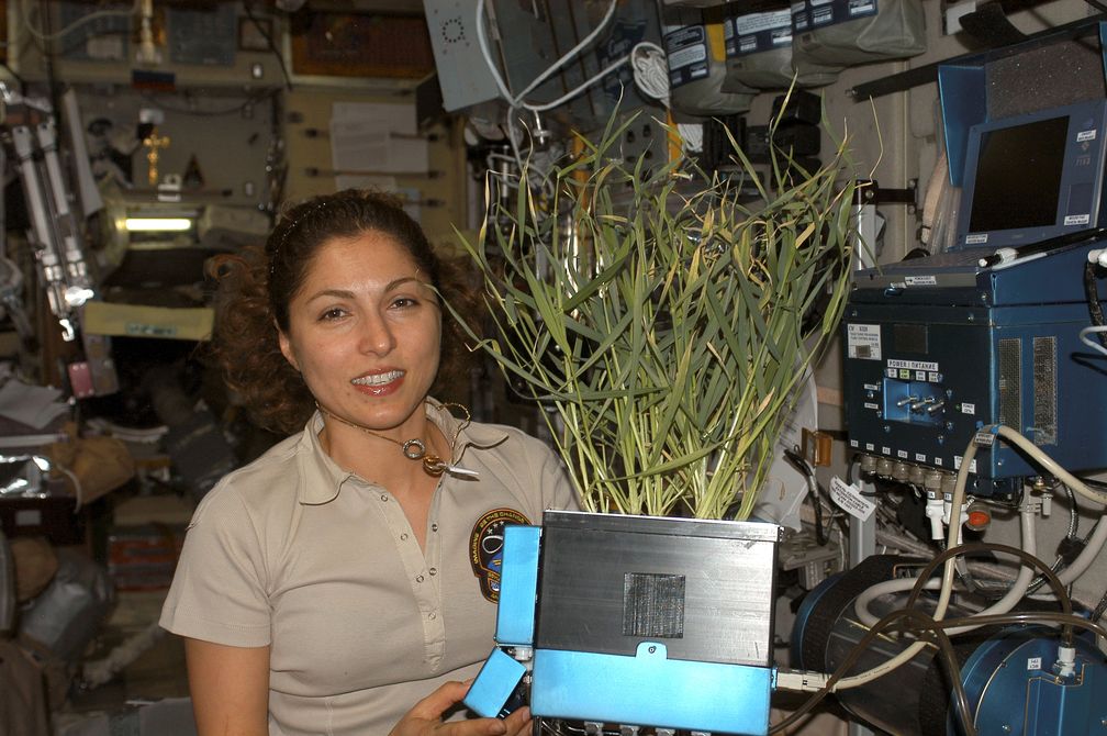 Ansari im Zvezda Service Module (ISS)