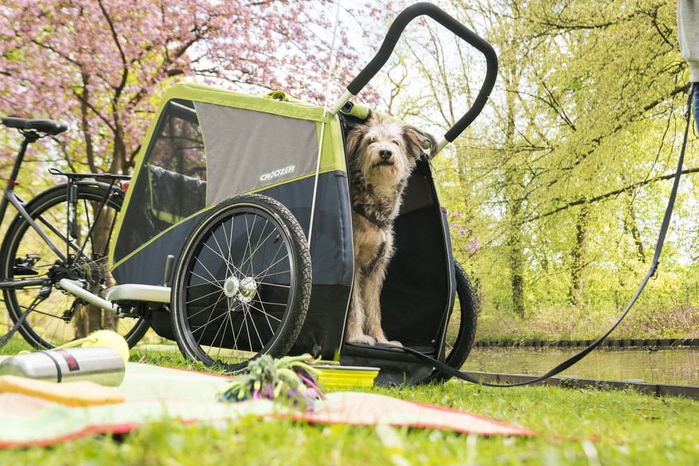 Ob für den Ausflug oder die Fahrt in die Stadt: Im "Dog XL" (799 Euro) von Croozer lassen sich die vierbeinigen Begleiter einfach bei der Radtour mitnehmen. Weiterer Text über ots und www.presseportal.de/nr/56815 / Die Verwendung dieses Bildes ist für redaktionelle Zwecke honorarfrei. Veröffentlichung bitte unter Quellenangabe: "obs/pressedienst-fahrrad gmbh/www.croozer.de | pd-f"