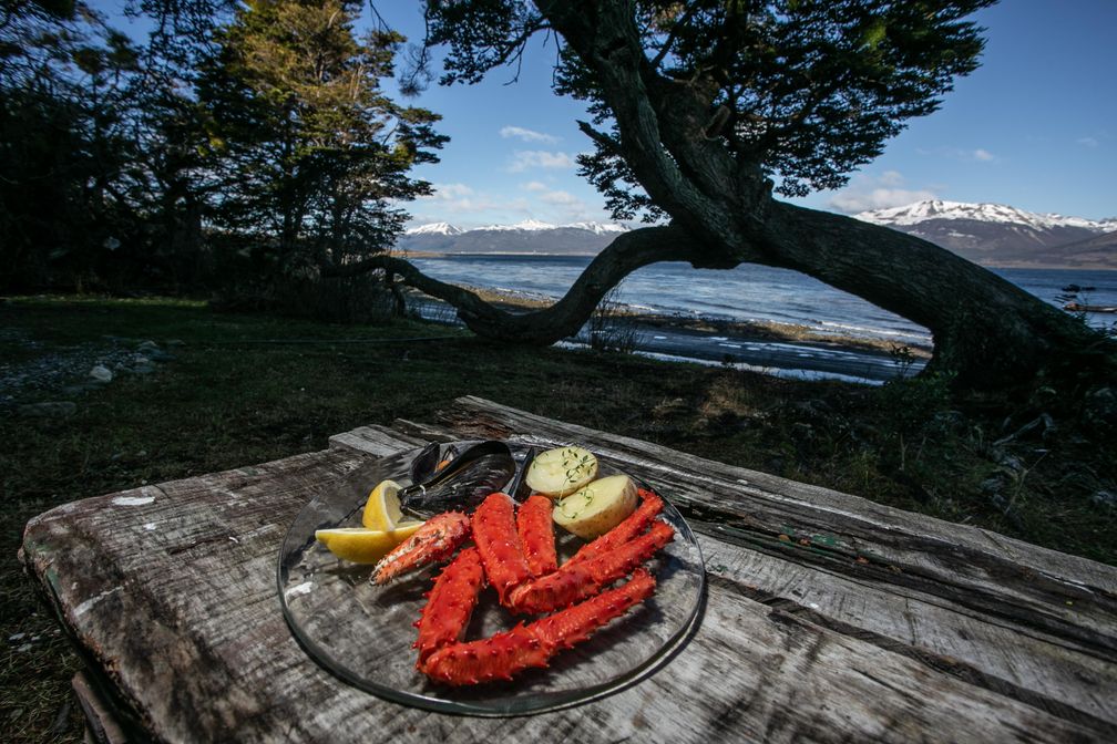 Aus den Tiefen des Ozeans kommen Algen, schwarzer Seehecht und Königskrabben. Bild: Turismo de Argentina Fotograf: Turismo de Argentina