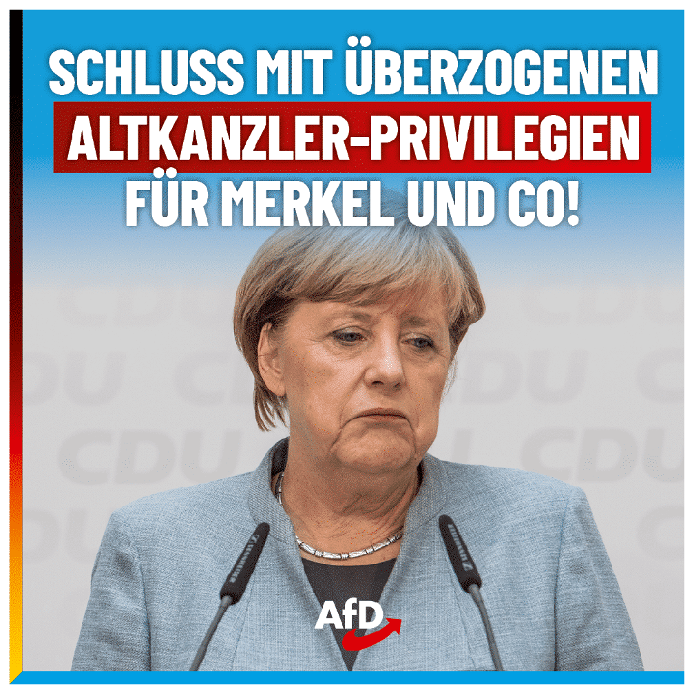 Bild: AfD Deutschland