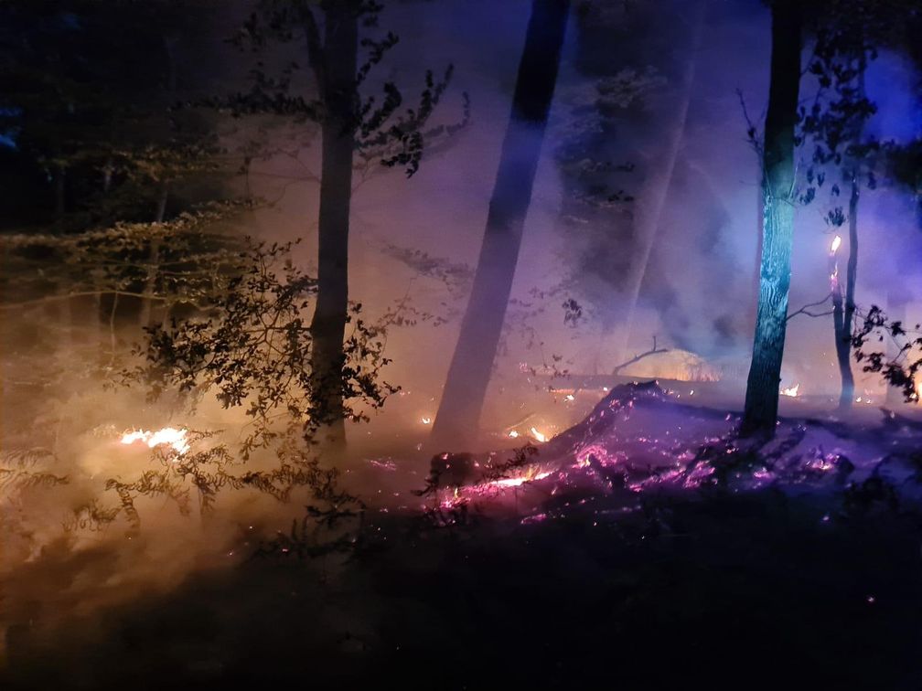 Rund 150 Quadratmeter Waldfläche waren in Brand geraten Bild: Feuerwehr