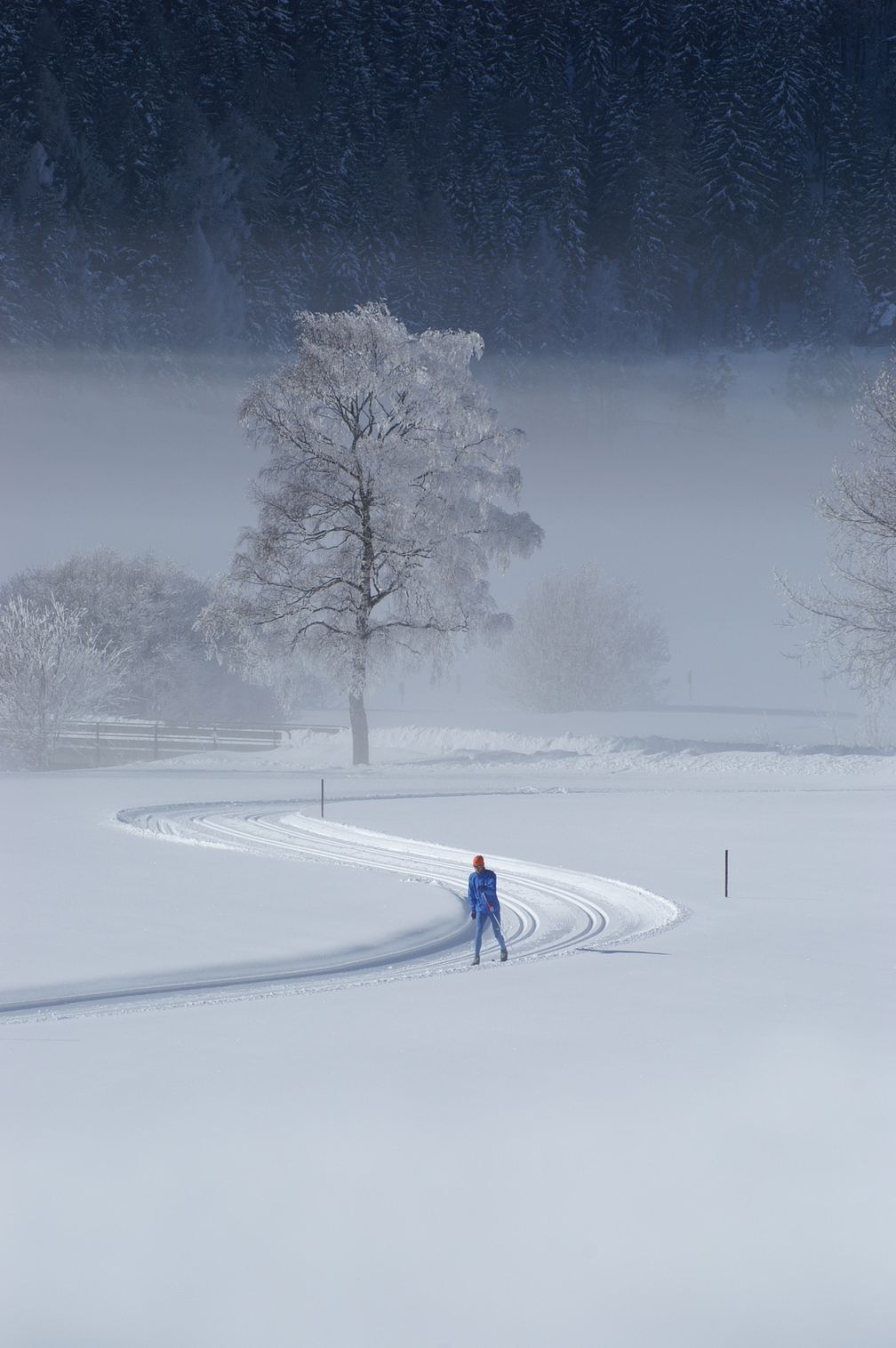 Skilanglauf zur Entspannung und Erholung (Symbolbild)