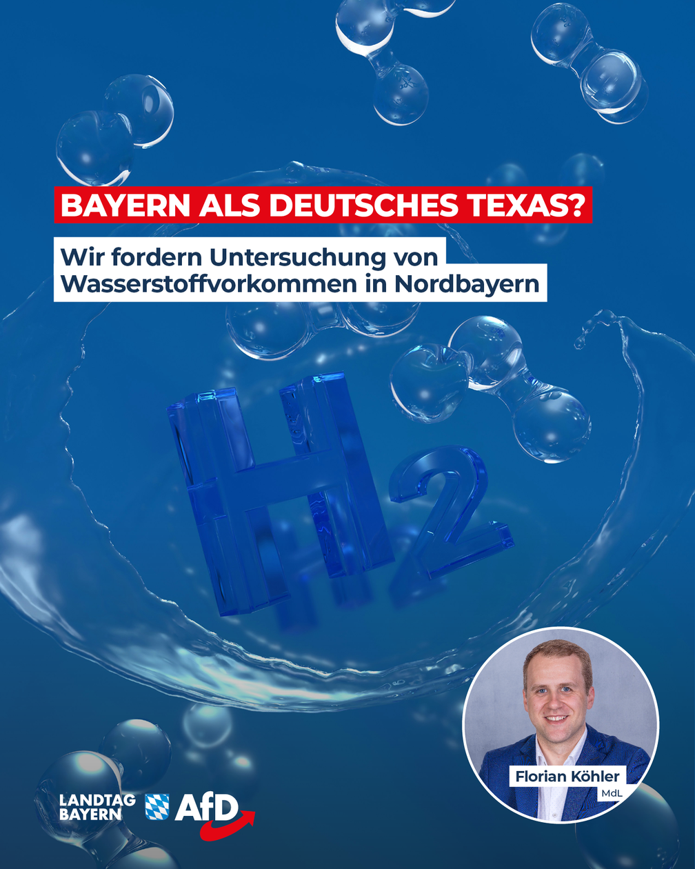 Bild: AfD Deutschland