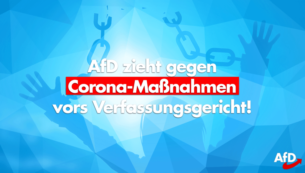 Bild: AfD Deutschland