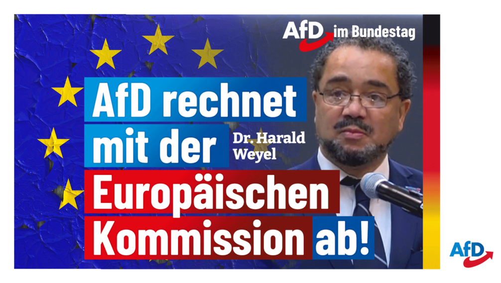 Bild: AfD Deutschland