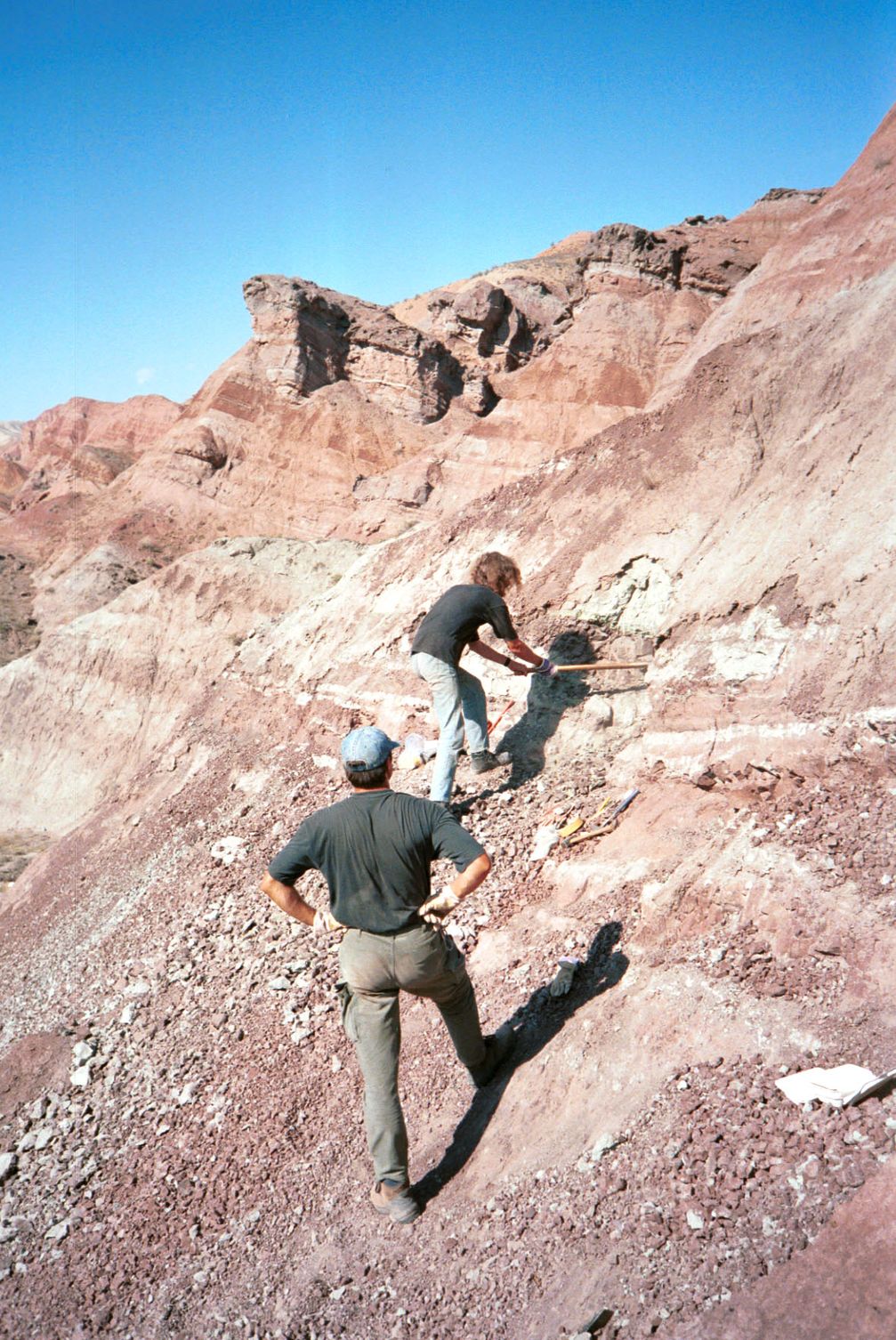 Grabung im Junggar-Becken in Nordwest-China im Jahr 2001: Fundstelle des Dinosaurierknochens mit Bissspuren.
Quelle: Foto: Andreas Matzke (idw)