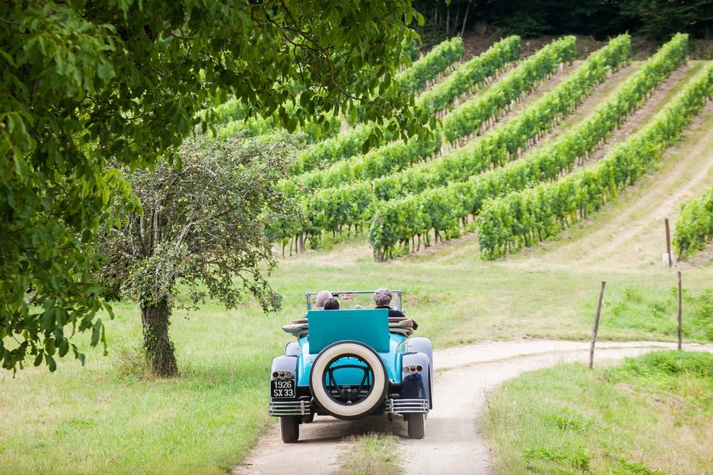 Bild: Verband der Bordeauxweine (CIVB) Fotograf: MATHIEU ANGLADA