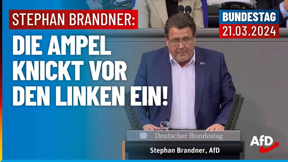 Bild: AfD Deutschland