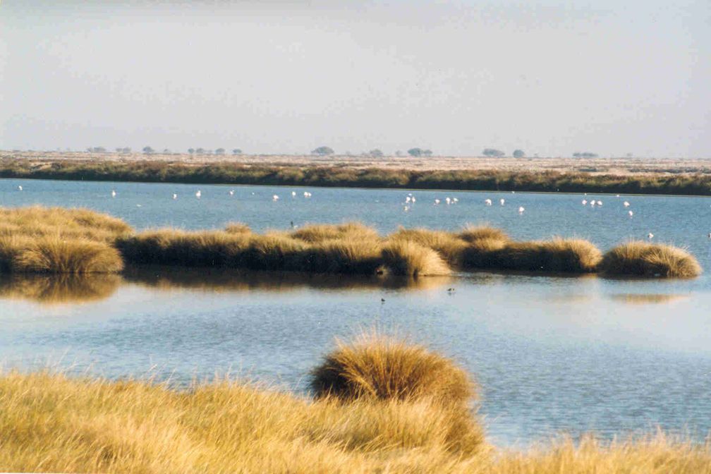 Nationalpark Doñana