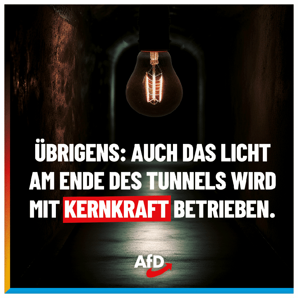 Bild: AfD Deutschland