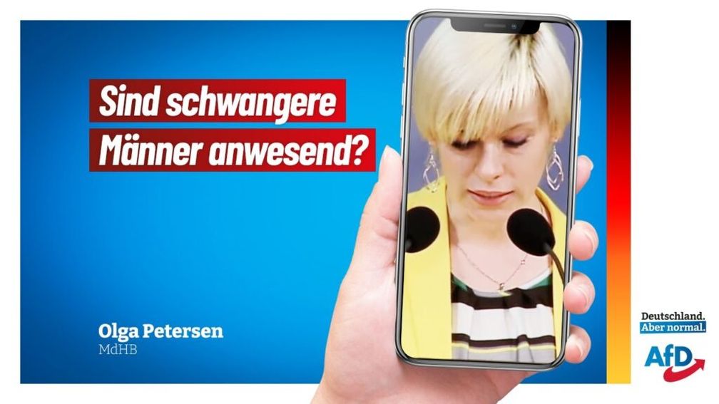 Bild: AfD Deutschland