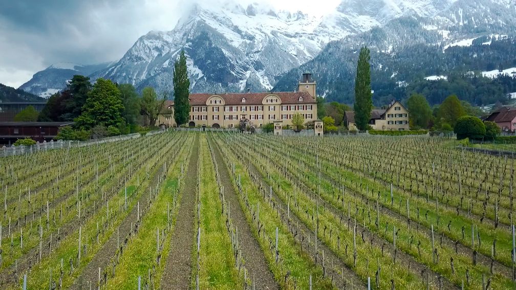 Zum Bündner Schloss Salenegg gehört das grösste Weingut Europas. Bild: "obs/3sat/ZDF/SRF/NZZ Format"