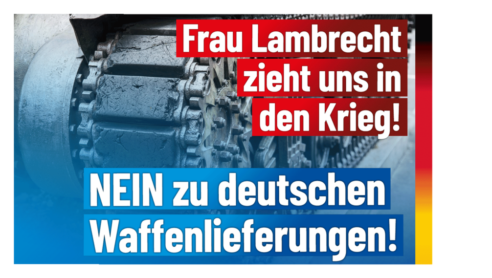 Bild: AfD Deutschland