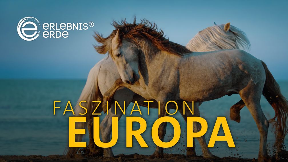 FASZINATION-EUROPA-Ein-Kontinent-F-nf-Welten