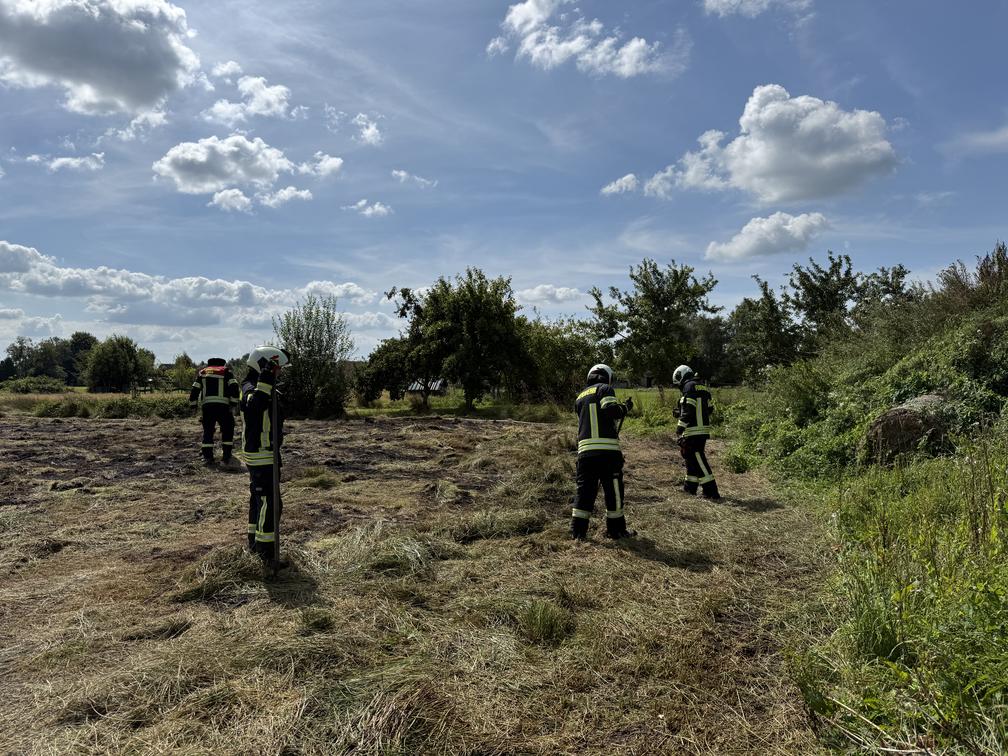 Einsatz der Feuerpatschen. Foto: Sönke Geiken