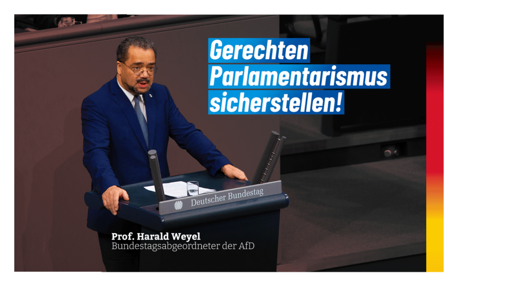 Bild: AfD Deutschland