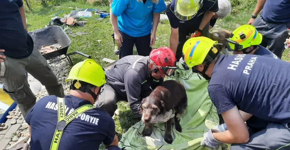 Rettung eines Hundes aus den Trümmern Bild: Feuerwehr Prag