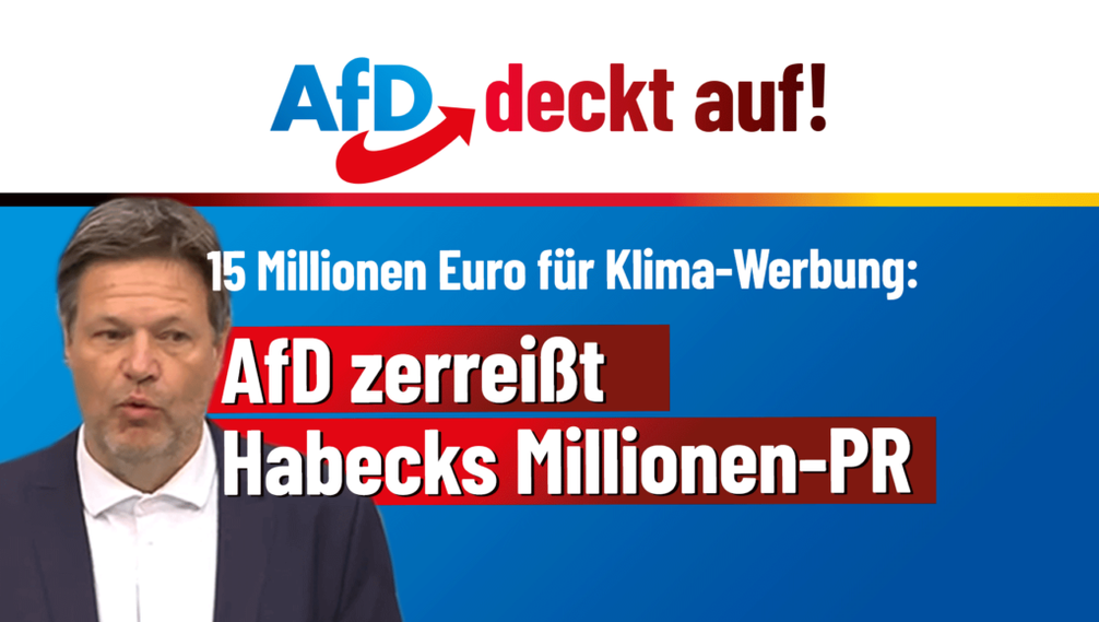 Bild: AfD Deutschland