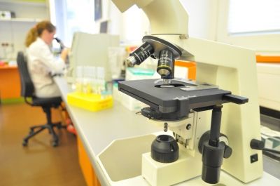 Standard-Tuberkulose-Test-zur-bei-Immungeschw-chten-unzureichend