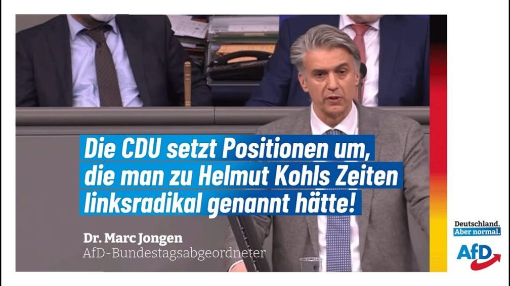 Bild: AfD Deutschland