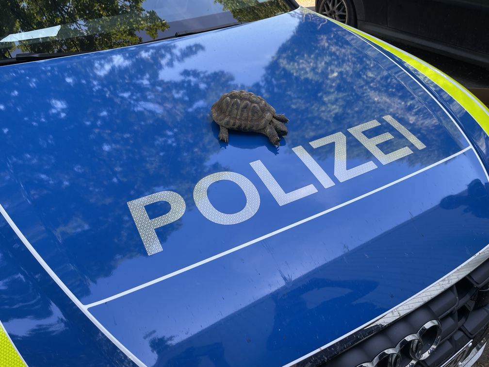 Bild: Polizei
