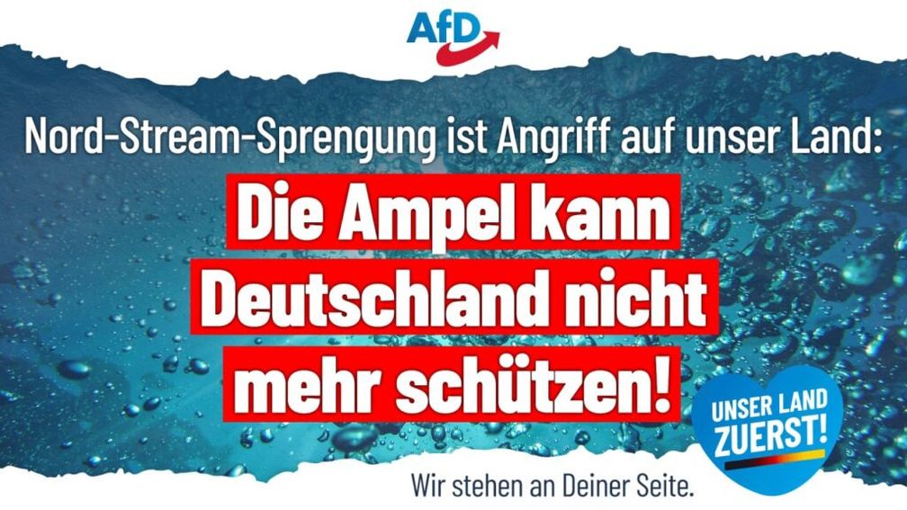 Bild: AfD Deutschland