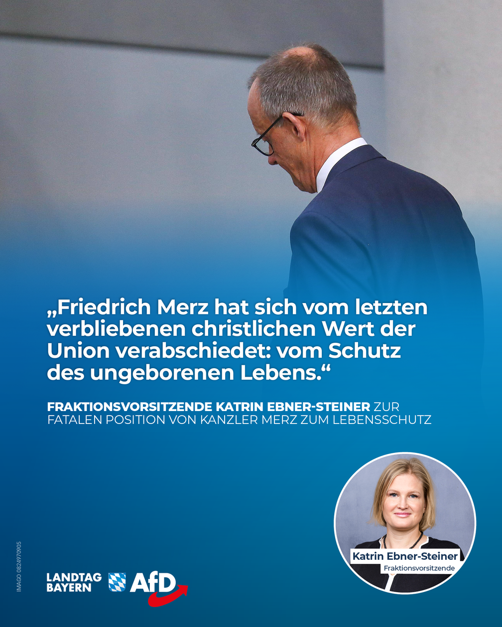 Bild: AfD Deutschland