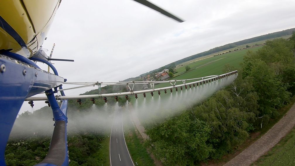 Beim Biozid-Einsatz gegen Eichenprozessionsspinner werden auch viele andere Insekten getötet.  Bild: ZDF Fotograf: ZDF/Michael Nieberg