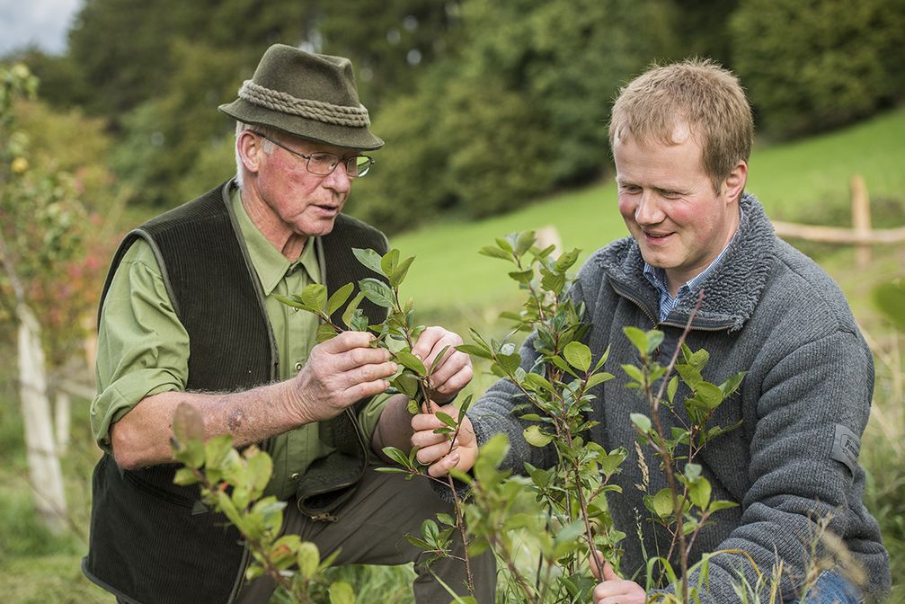 Alnatura Bio-Bauern-Initiative - Aronia-Anbau Theo Müller Bild: Alnatura/Marc Doradzillo