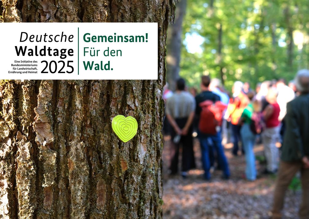 Bundesweite-Veranstaltungen-zu-den-Deutschen-Waldtagen-2025-unter-dem-Motto-Gemeinsam-F-r-den-Wald-