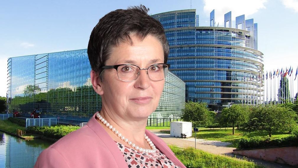 Dr. Sylvia Limmer (2022) Bild: AfD Deutschland