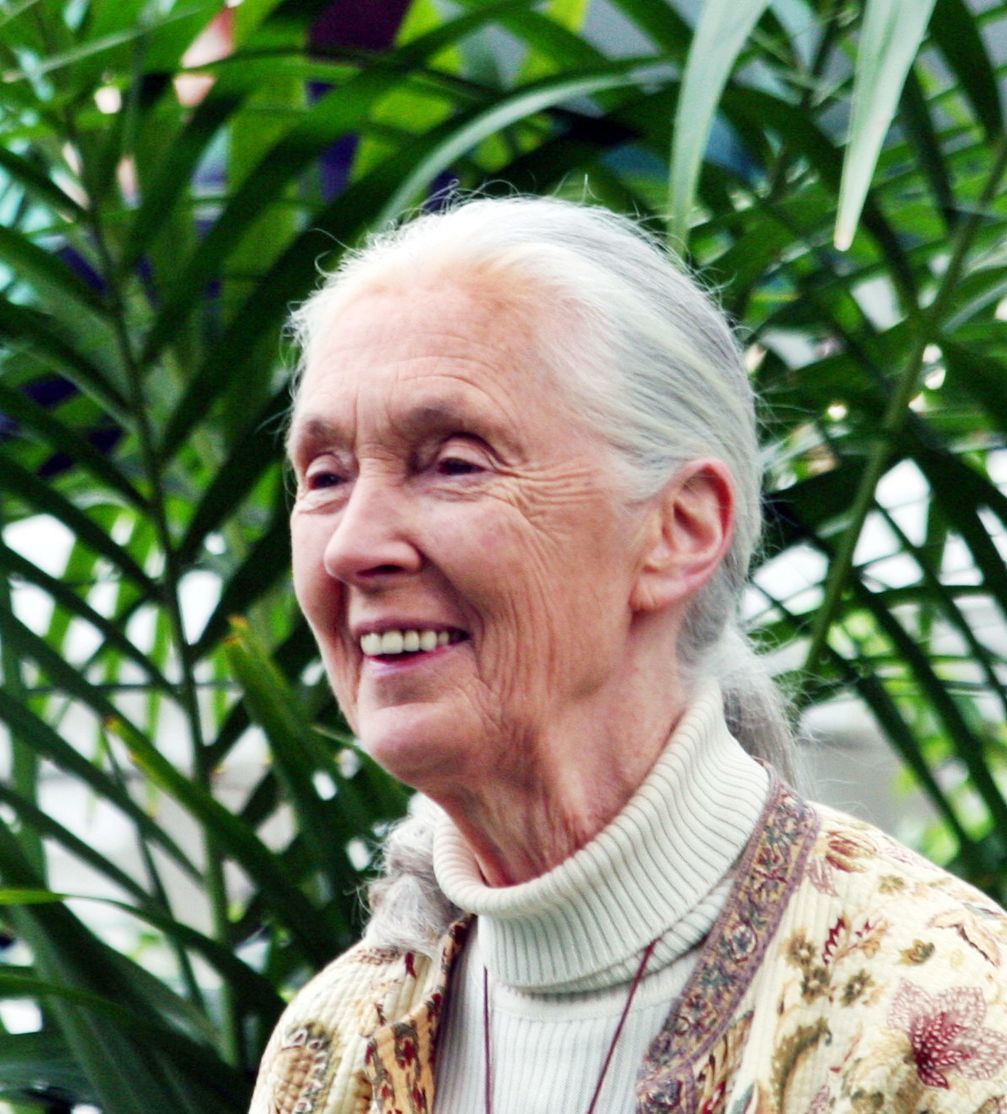 Tournament of Roses Parade Grand Marshal Dr. Jane Goodall, 11th female Grand Marshal, at Tournament House, 2012
