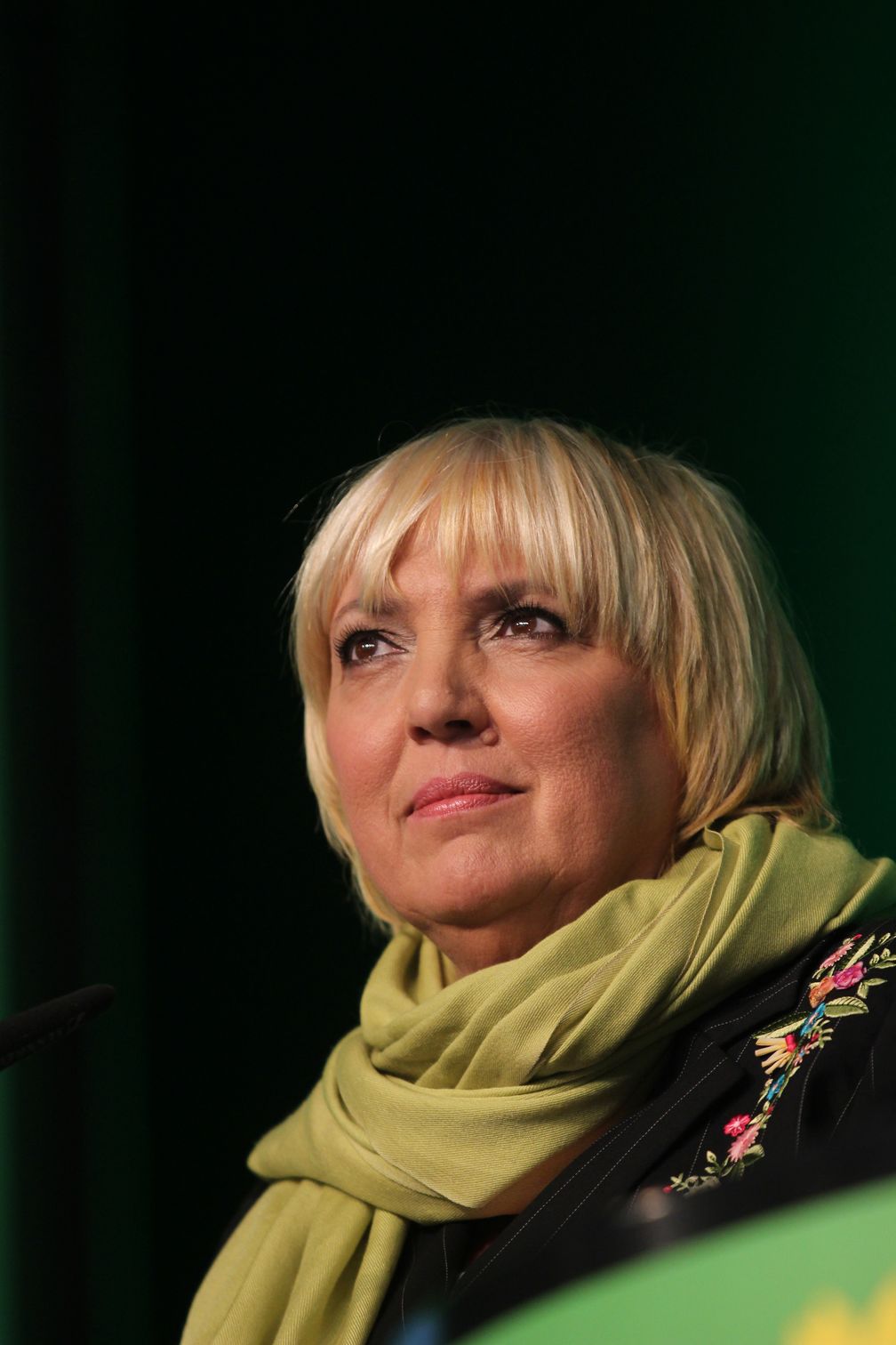 Claudia Roth (2013)