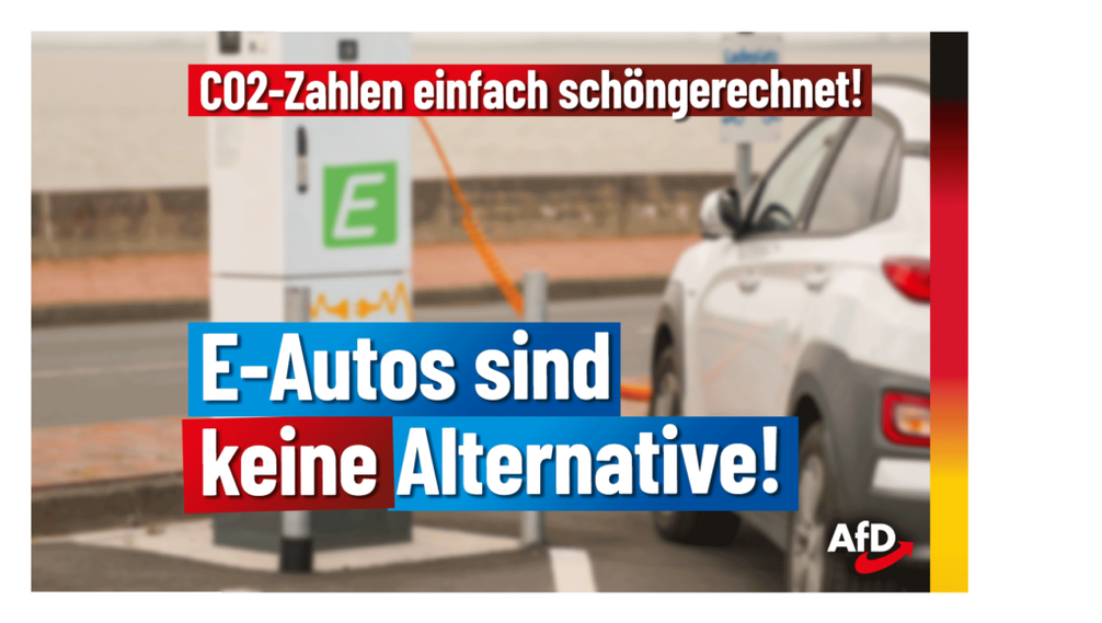 Bild: AfD Deutschland