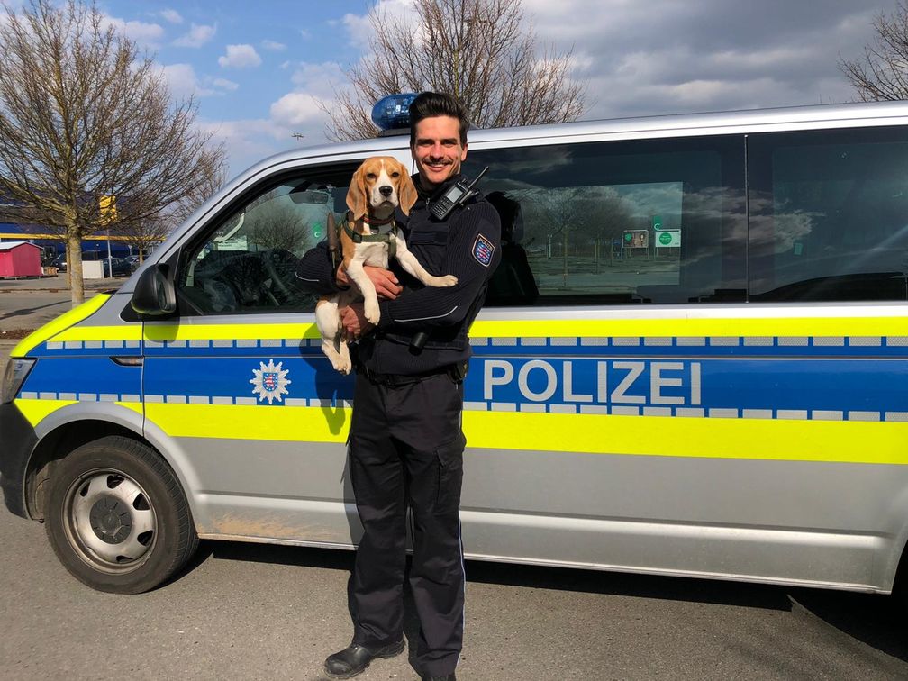 Gerettete Käthe Bild: Polizei