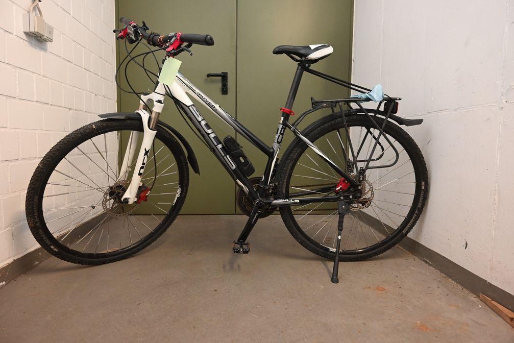 Mountainbike Bulls