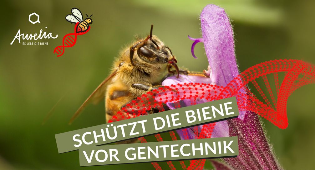 Aurelia Stiftung startet Informations- und Petitionskampagne "Schützt die Biene vor Gentechnik". Mehr Infos: www.biene-gentechnik.de  Bild: "obs/Aurelia Stiftung/© Smellme - Dreamstime.com"
