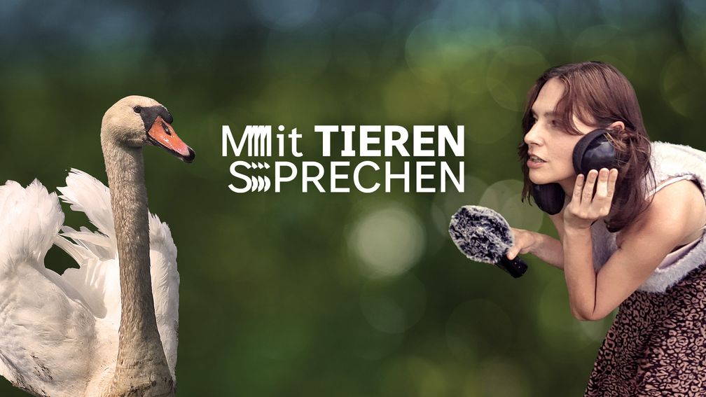 Bild: SWR Fotograf: SWR - Südwestrundfunk
