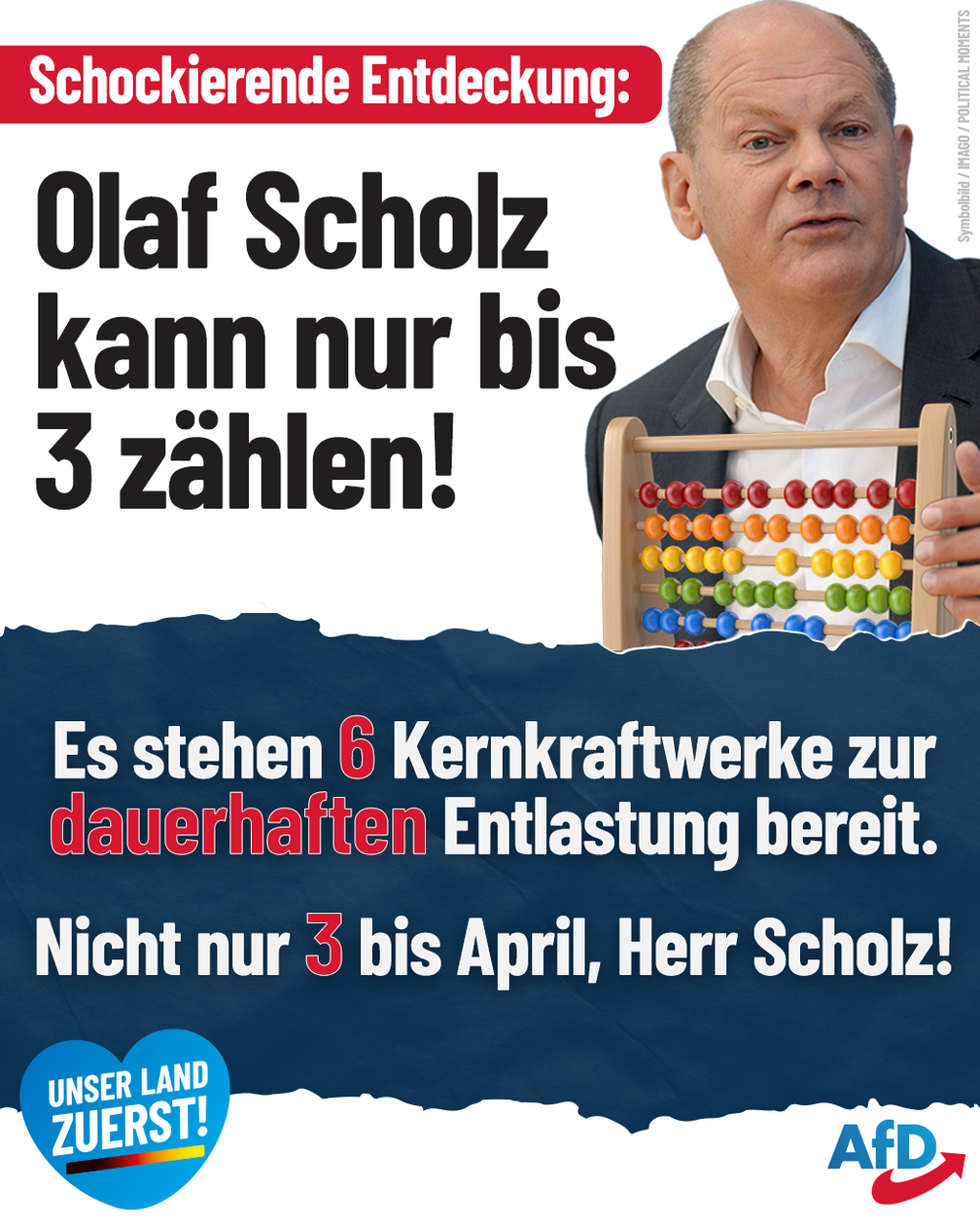 Bild: AfD Deutschland