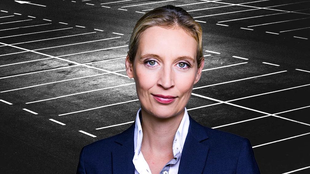 Dr. Alice Weidel (2020)