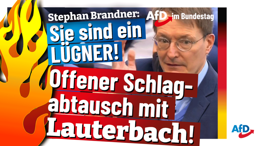 Bild: AfD Deutschland